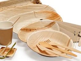 Enviro Palm Leaf Arecca Tableware