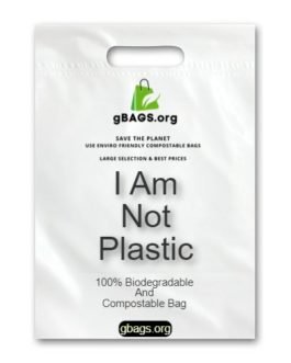 1 Compostable Carry Bag 13*16