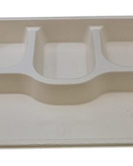 Square 4 CP Tray In Bagasse, For Event And Party Supplies