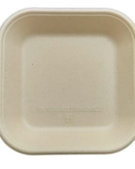 Compostable Bagasse Square Plate