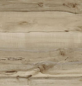 SPC Flooring Pale Oyster