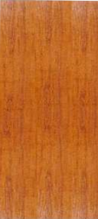 Plain Door  – Trends series Doors