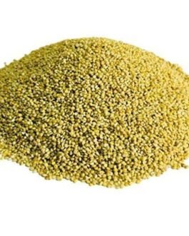 Browntop Millet