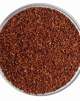 Finger Millet