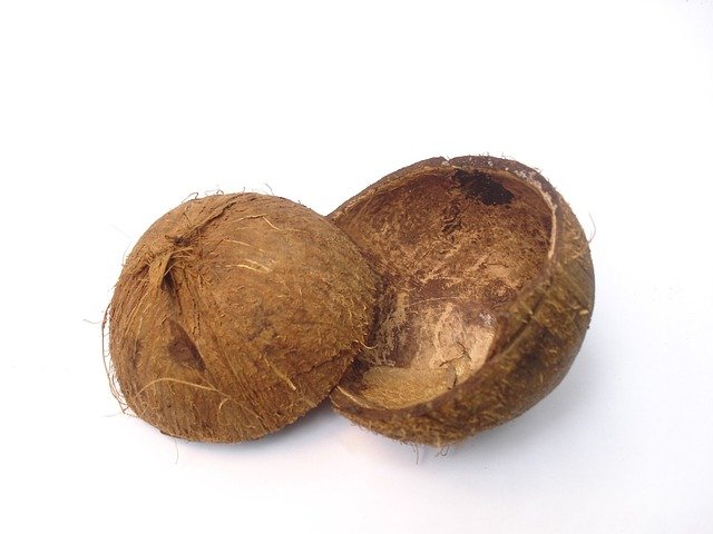 Coconut Shell 2_SFIN