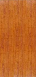 Plain Door  - Trends series Doors