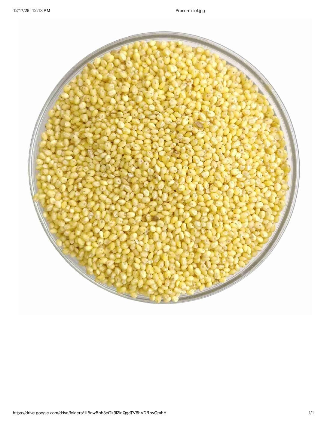 Proso millet